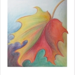 Carol Calabro Riverbend Cards2