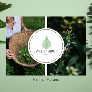 Hannah Morano Sweet Birch Herbals