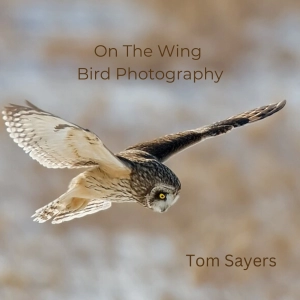 Tom Sayers On The Wing Photography