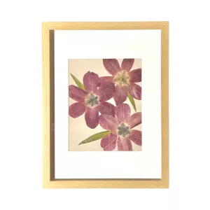 Makepeace Designs - Tulips